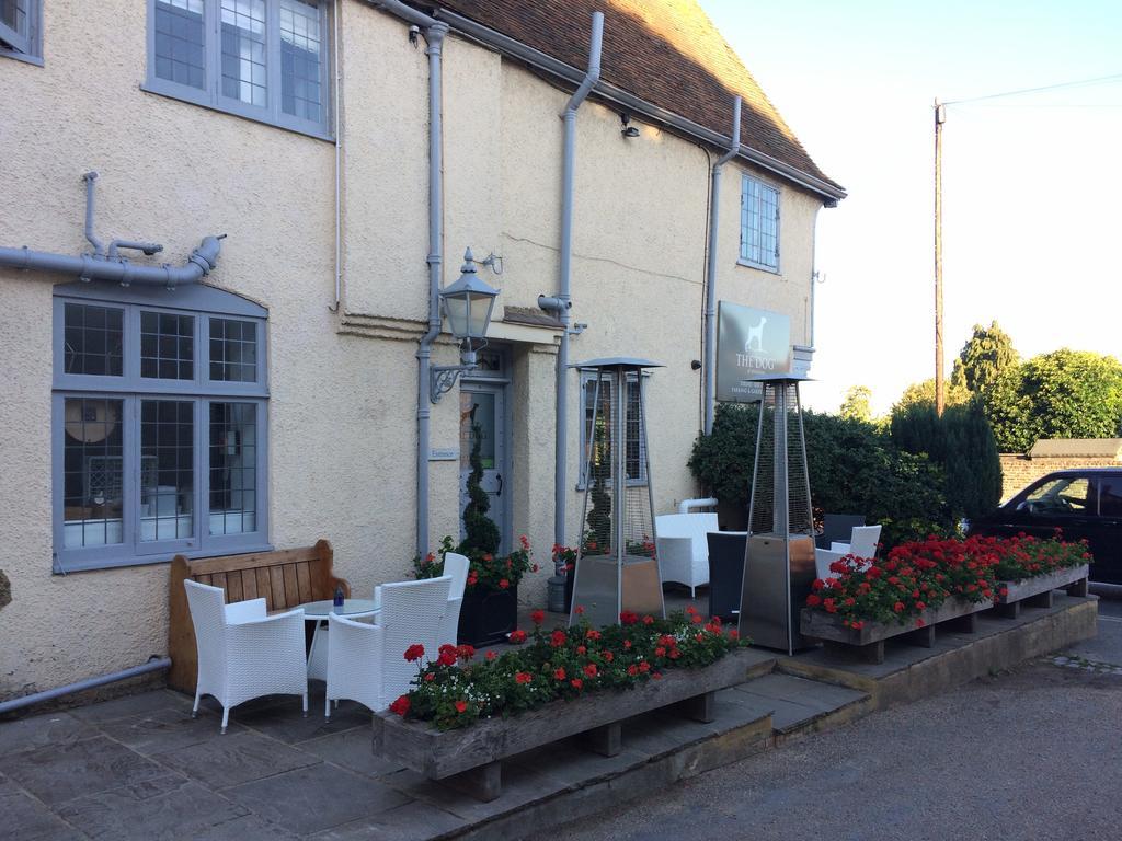 The Dog At Wingham Hotel Buitenkant foto